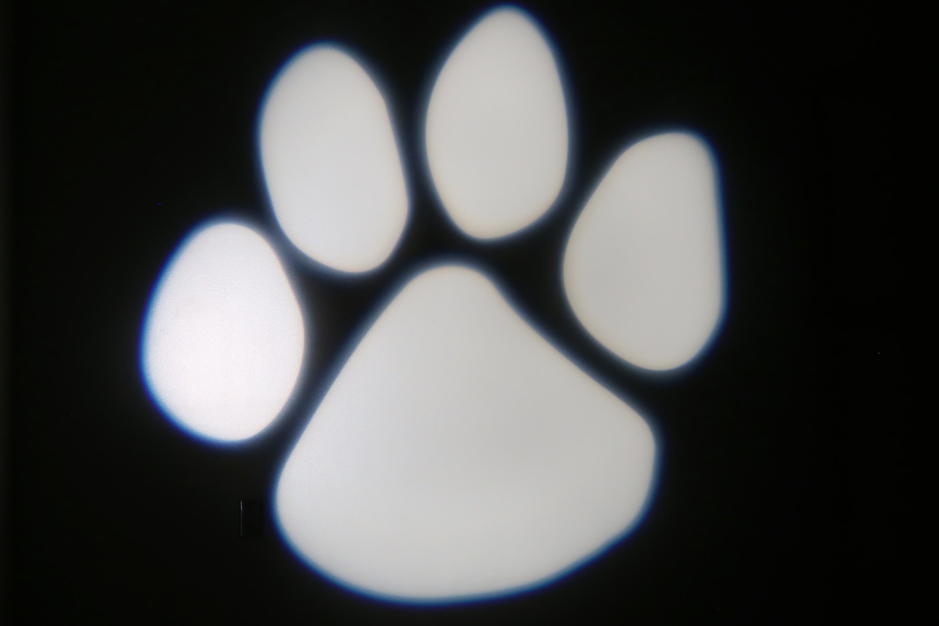 Image of two paw print Gobos
